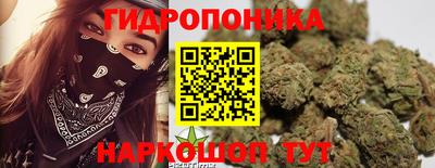 ешки Канаш