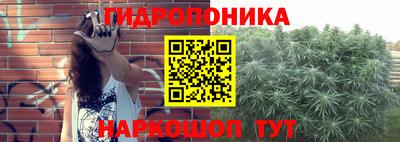 ешки Канаш