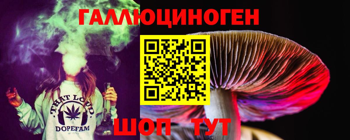 Вологда  Псилоцибиновые грибы мухоморы  Вход с VPN 