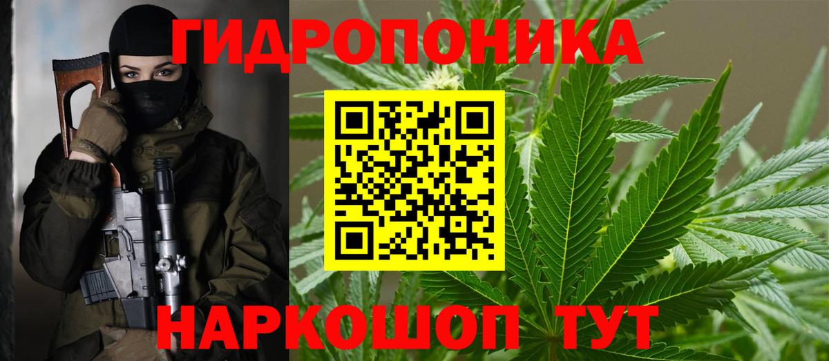 Бошки Шишки Bruce Banner  Вход с VPN  Бошки марихуана Bruce Banner  Вологда  Каннабис планчик 